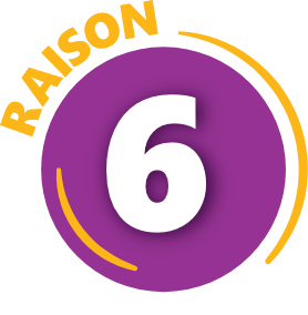 Raison 6