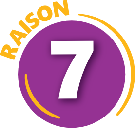Raison 7