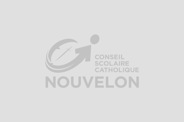 Aucune image